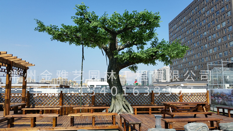 北京市八一中學(xué)屋頂花園5