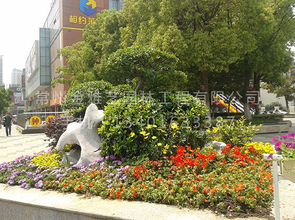 園林景觀(guān)綠化 (9)